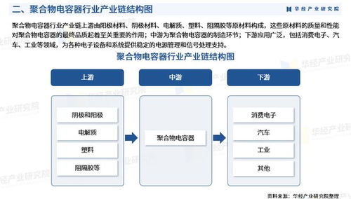2025年中國(guó)聚合物電容器行業(yè)市場(chǎng)深度調(diào)查及投資前景預(yù)測(cè)報(bào)告